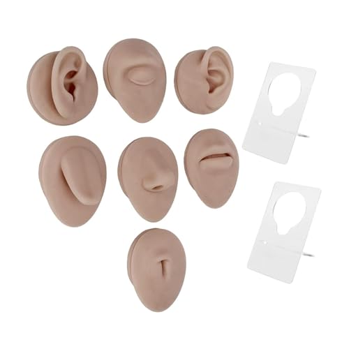 Loigohon ڕ@ւf _VR WG[fBXvCp {fBsAXKf F lpc[ ()