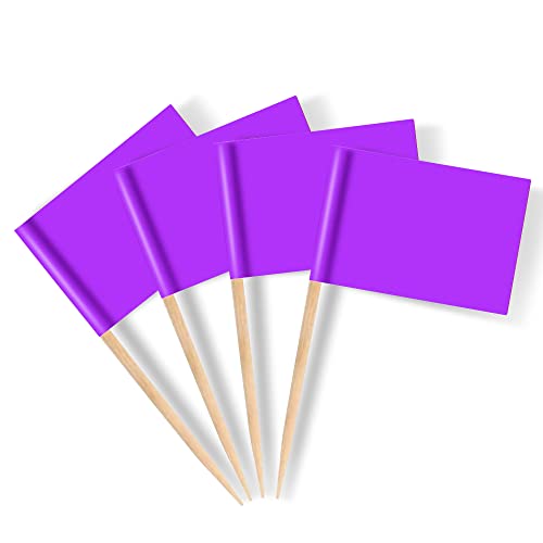 Mflagperft Lot de 100 cure-dents vierges pour étiquetage - Petits drapeaux pour cupcakes, aliments, fruits, décorations de fête (violet)