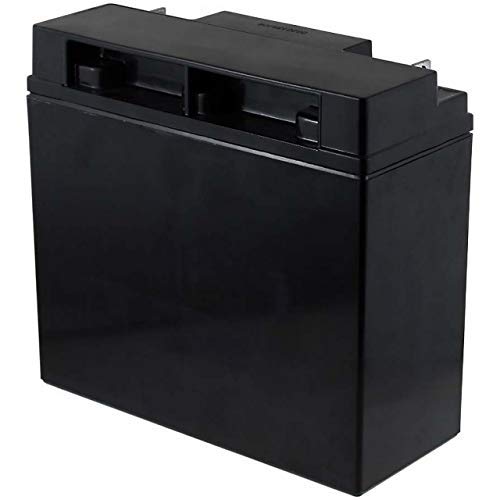 FIAMM - Batería de plomo Fiamm 12V 18Ah FGH 21803 - FGH21803