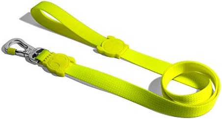 Neopro Coleira para cães ZDLEASH120, G, verde
