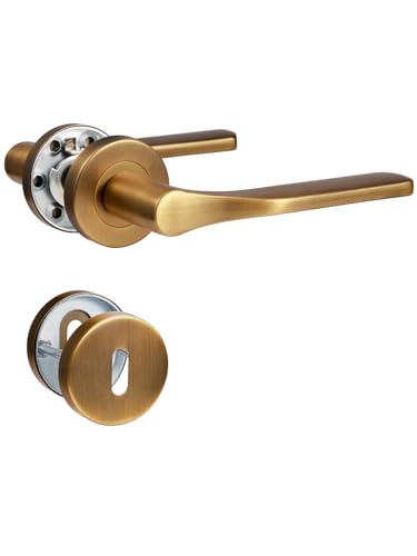 SORWDUERM Poignée de porte en laiton antique,garniture de poignée, acier inoxydable brossé mat,de poignées pour d'entrée et porte intérieure,forme en...