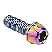 Colorful Stainless Steel M5 x 10mm for T25 for Torx Bolts for Mountain for Bike Brake, Oil Slick Finish, 12 Pack
