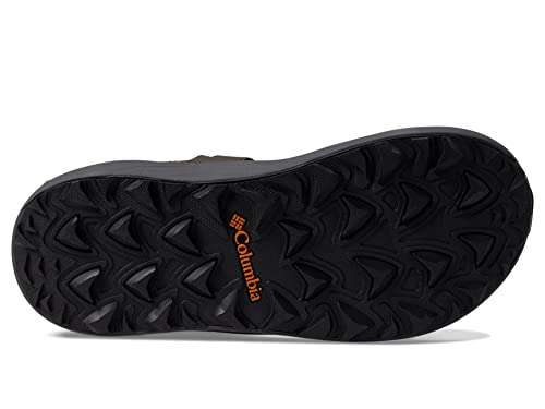 Image of Columbia Trailstorm Sandal