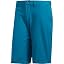 Active Teal