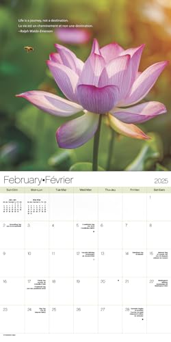 Trends International 253081 2025 Zen Wall Calendar thumb #2
