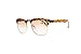 Retro Black Tortoise Horned Rim Tinted Lens Reading Glasses Nerd Geek Sun Readers Sunglasses (Tortoise+Brown Lens, 1.0)