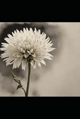 A voz da flor (Portuguese Edition)