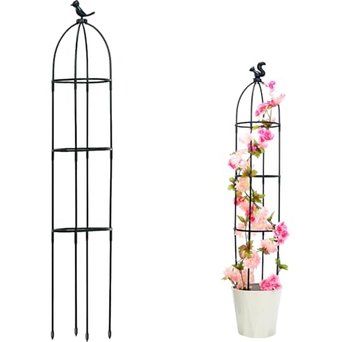 HASTHIP® Garden Plant Support Cages Stakes - 120CM Plastic Creeper Support Stands - Adjustable & Connectable - Round Moss Sticks for Plants Support - Indoor/Outdoor Suitable for Clematis & Climbers
