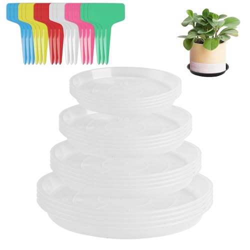 16 Untersetzer Blumentopfuntersetzer pflanzen untersetzer, pflanzenuntersetzer Rund, Plastik Blumen Untersetzer, Blumenuntersetzer Rund 12 cm 16 cm 18 cm 22 cm, für Innen Außen, mit 24 Etiketten