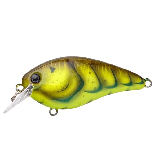 Crankbait Strike King KVD Elite 1.5 poisson nageur silencieux - 3