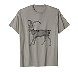 Animal Bouquetin alpin cornes Africain montagne nature herbivore végétarien faune mignon adorable antilope cerf wapiti illustration