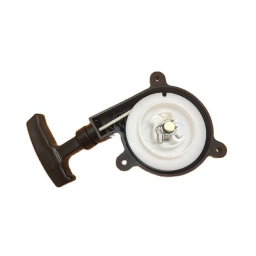 Démarreur souffleur de feuilles premium BR380 BR400 4203