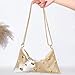 APGLSXY Fashionable Evening Purse Elegant Shoulder Bag For Weddings And Special Event