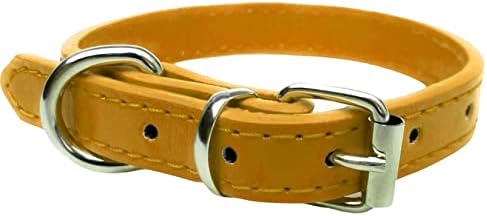 Strong Leather Dog Collar for Puppy, Cat, Kitten, Dogs - For Small, Medium & Large Pet Collars (Medium (28cm - 36cm Neck), Bright Gold) image 5