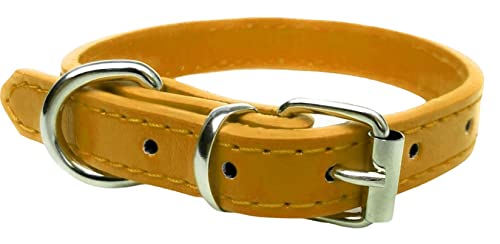 Vibrant Leather Dog Collar & Lead Combo Set for Puppy Dogs Small, Medium & Large (Medium (28cm - 36cm Neck), Bright Gold) - Image 3