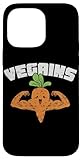 Veganism Vegetarian or Vegan and Fitness Nutrition