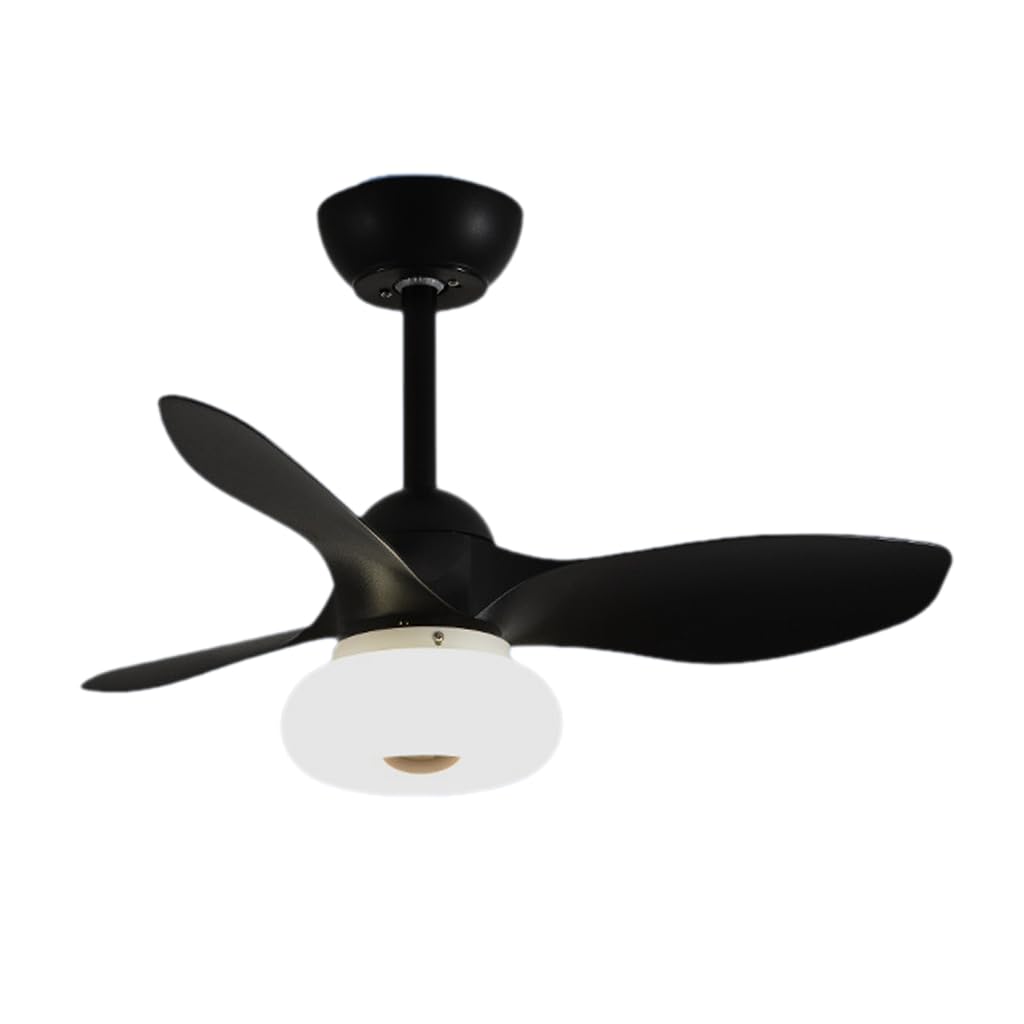 HXYSXHJUO Fan Light Ceiling Electric