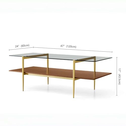 LumFurn X-Large L47in Rectangle Glass Coffee Table, Mid-Century Modern Design for Living Room, L47xW24xH17 inch, Clear Glass and Walnut MDF Wood Shelf, Conical Legs with Gold Finish by LumFurn - Used condition - Image 2