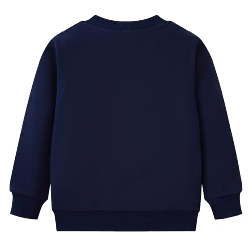 Popshion Toddler Boys Sweatshirt Cotton Lightweight Kids Winter Warm Sweater Crewneck Pullover Tops2