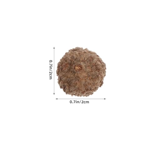 Natural Acorn Shell Caps 300 Piezas para Manualidades miniatura 2