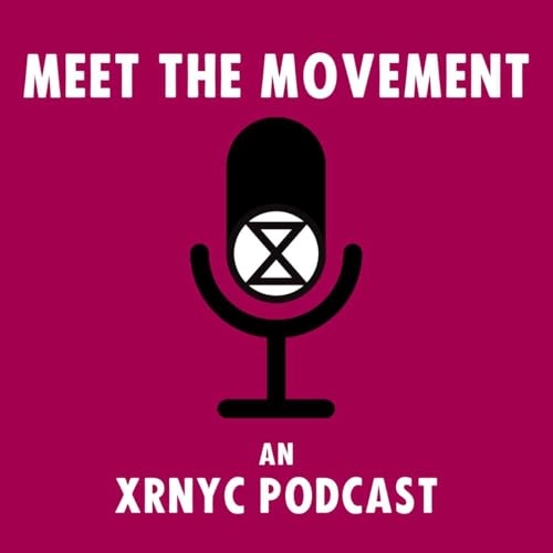 Meet the Movement cover art