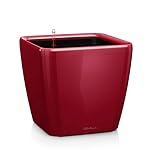 Lechuza – Lechuza-Gefäß mit Bewässerung Quadro Premium LS 50 scarletro