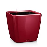 Lechuza – Lechuza-Gefäß mit Bewässerung Quadro Premium LS 50 scarletro