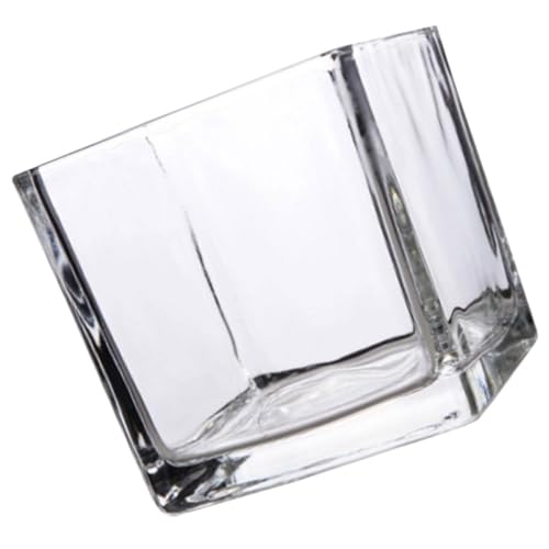 EXCEART Vase en Verre Transparent pour Succulentes et Fleurs Fraîches, Pot de Fleurs Cube Moderne Élégant pour Décoration de Jardin et Table Basse
