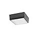RAB VANLED Canopy Light5000K