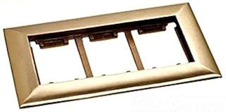 Lew Electric 3-Gang Brass Floor Box Carpet Flange CF-1103-DFB