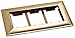 Lew Electric 3-Gang Brass Floor Box Carpet Flange CF-1103-DFB
