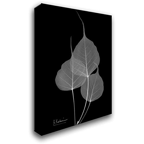 Koetsier, Albert 28x37 Large Gallery Wrapped Stretched Canvas Art Titled: BoTree E158