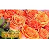 [ビズフラワー]【花束 バラ(大輪) 12本】 インポートローズ オレンジ 薔薇 お祝い 誕生日 記念日 大切な日 花材 装飾 BisesFlower