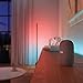 Philips Hue Gradient Light Strip 1m Extension, for Syncing with Entertainment, Media and Music, with Bluetooth, Compatible with Alexa, Google Assistant and Apple Homekit, White