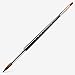 RAPHAEL Kolinsky Sable Fine Point Round Size 10 brush - Best Price on Web!