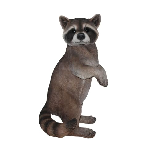 Estatua de mapache de Hi-Line Gift Ltd