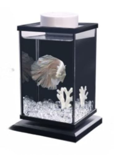 HOTGEEJP ȒPRpNg  TJi x^ ߉\USBX}[gxRg[ACg~jLbgBȃGlLED{^Cg͖ڂɗD_炩𔭂܂BƒItBXɍœKłi105*95*163 