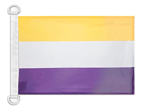 AZ FLAG National Woman's Right Nautical Flag 18'' x 12'', Suffragette flags 30 x 45 cm, Banner 12x18 in for boat