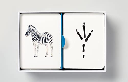 Match a Track: Match 25 Animals to Their Paw Prints - Image 6