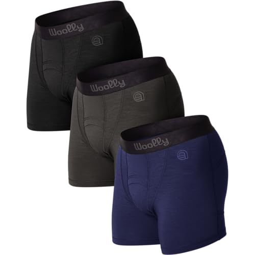 Woolly Clothing Co - Woolly MerinoAire Men's Active Boxer Briefs - 95% Merino Wool, 5" Inseam, Medium - Best Deal on Amazon