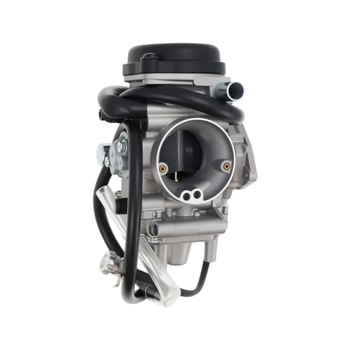 Carburateur pour Bi Be Wo Ko Gr 250 350 400 450 Ca moteur thermique