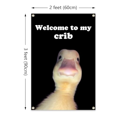 ILINJAU Welcome To My Crib Flag Funny Tapestry 2x3Ft Indoor Outdoor Wall Art Tapestry for Bedroom Teens Room Decoration Living Room Bedroom