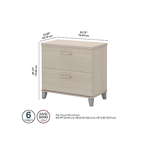 Bush Furniture Somerset 2 Drawer Lateral File Cabinet In Sand Oak | Stylish File Cabinets For Home Office | Filing Cabinet With Soft-Close Drawers | 30W X 17D X 29H #TOP2