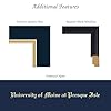 Framerly - University of Maine At Presque Isle 9" w x 7" h Tassel Gold Embossed Diploma Frame - Fits Associate's and bachelor's (Awarded 2022 Or Prior) - Tassel & Cord Diploma Frame #3
