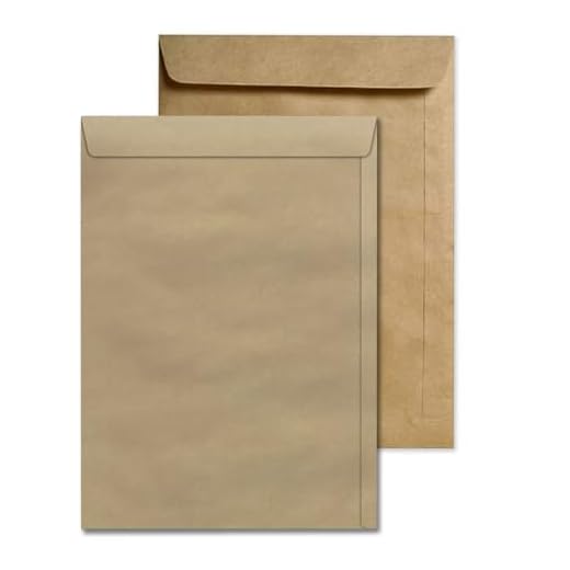 Envelope A4 22 X 32 cm Pardo Kraft 229 x 324 mm 100 Unidades Volunder (Marrom)