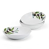 Studio Nova Olive Set of 4 Pasta Bowls, 8 Inch, 20 Ounce, White
