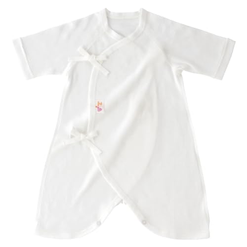 [Ԃ̏] Rr 50`60 tCX n {