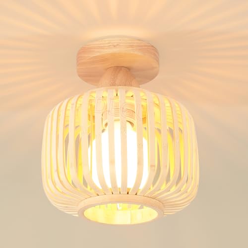 IDEGU Lámpara de Techo Vintage 18CM Iluminación