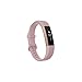 Fitbit Alta HR, Special Edition Pink Rose Gold, Small (US Version)