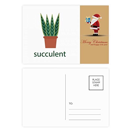 Cartes postales cactus de Noël pour décorer vos tables de fête et cadeaux